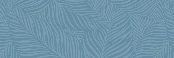 Harper Muse Classics: Jane Austen Collection - Mansfield Park