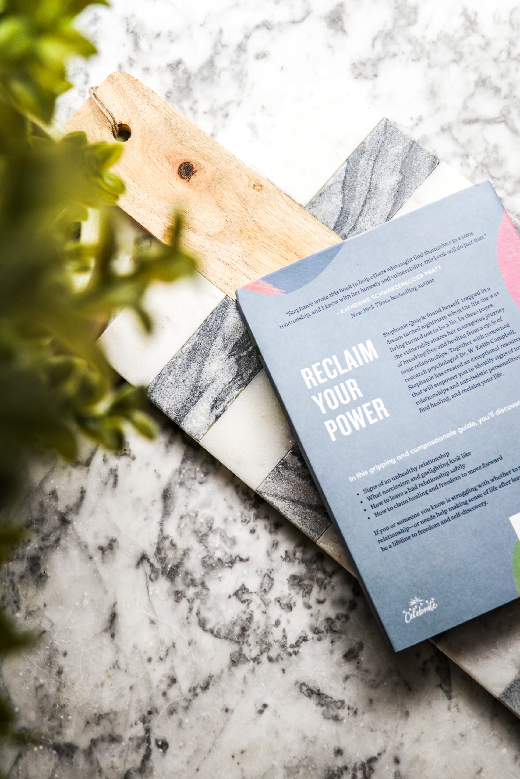 why do we stay book back cover